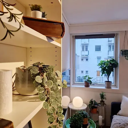 Ferienhaus Cozy Near Bryggen Full Kitchen Elevator