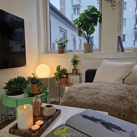 度假居 Cozy Near Bryggen Full Kitchen Elevator *