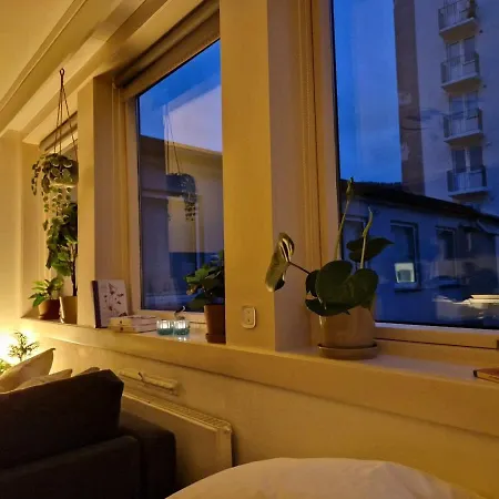 Cozy Near Bryggen Full Kitchen Elevator Ferienhaus *