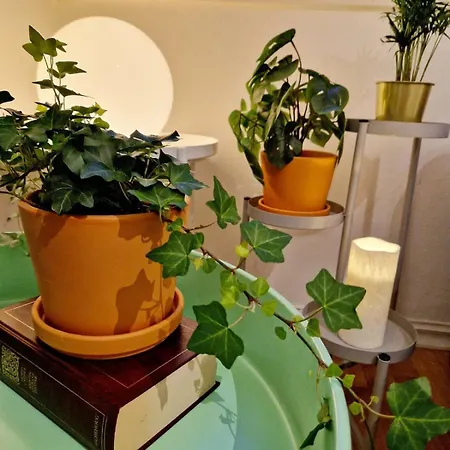 Cozy Near Bryggen Full Kitchen Elevator 베르겐