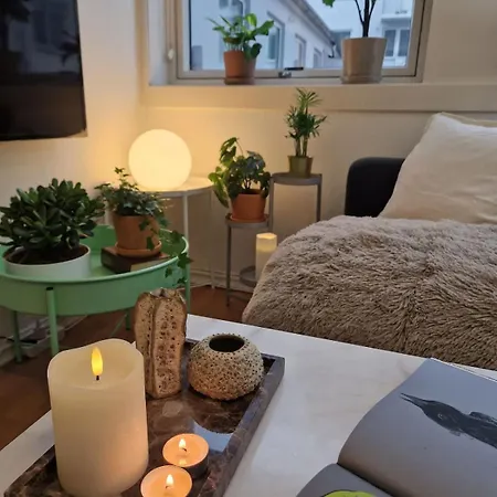 Cozy Near Bryggen Full Kitchen Elevator Vakantiehuis *